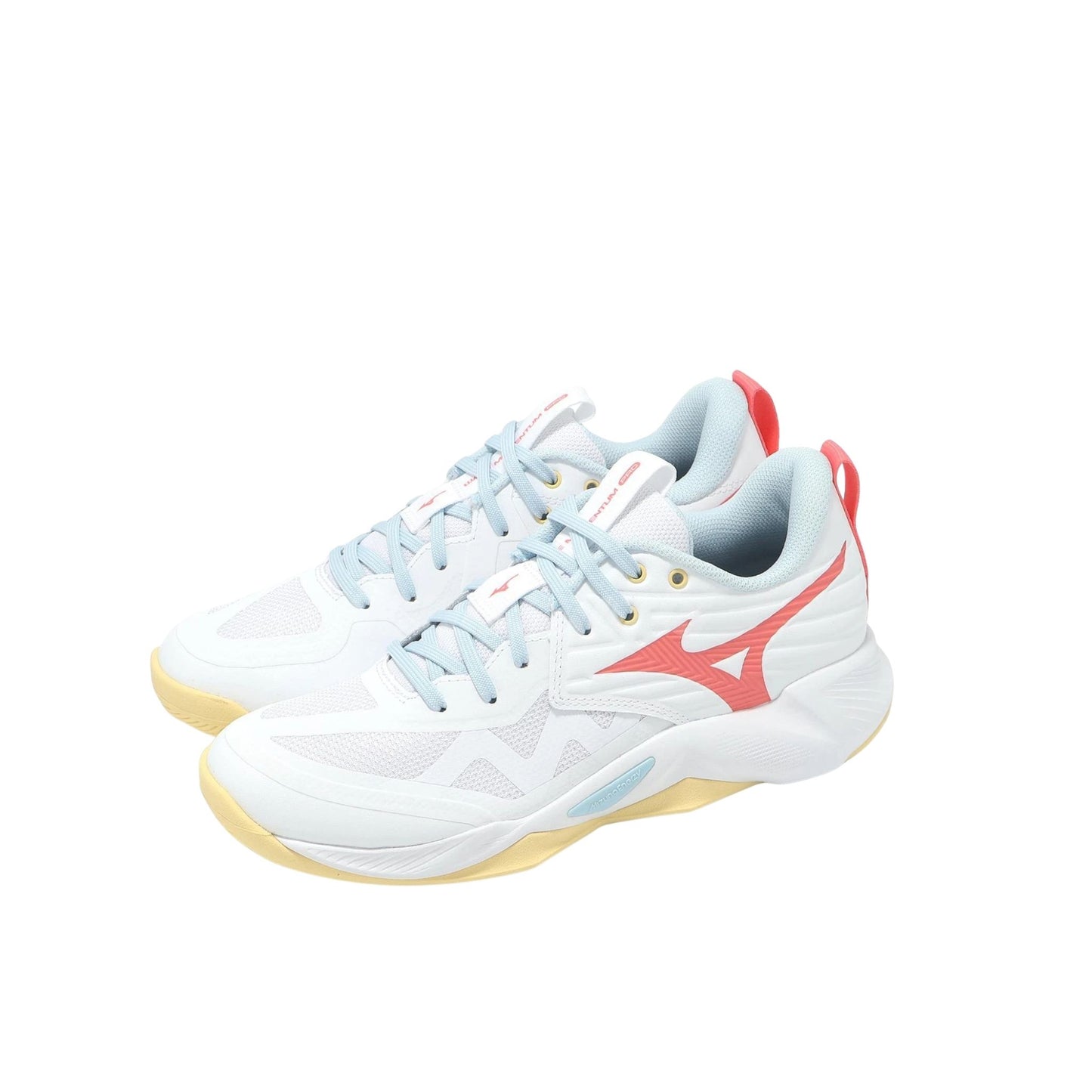Mizuno Wave Momentum Pro